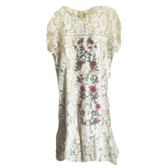Francesca's Lace Dress Ladies XXS Ivory with floral insert lined NWT - Picture 2 of 11